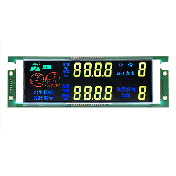 VA color screen segment code module