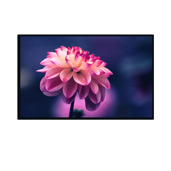 8.0 inch TFT display screen