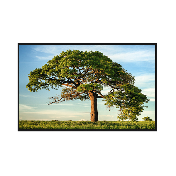 10.1-inch TFT display screen