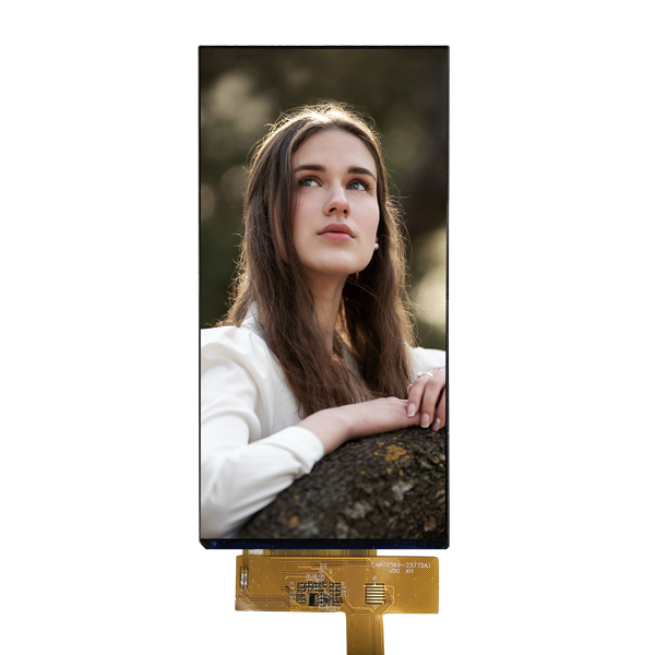 5.99-inch TFT liquid crystal display module