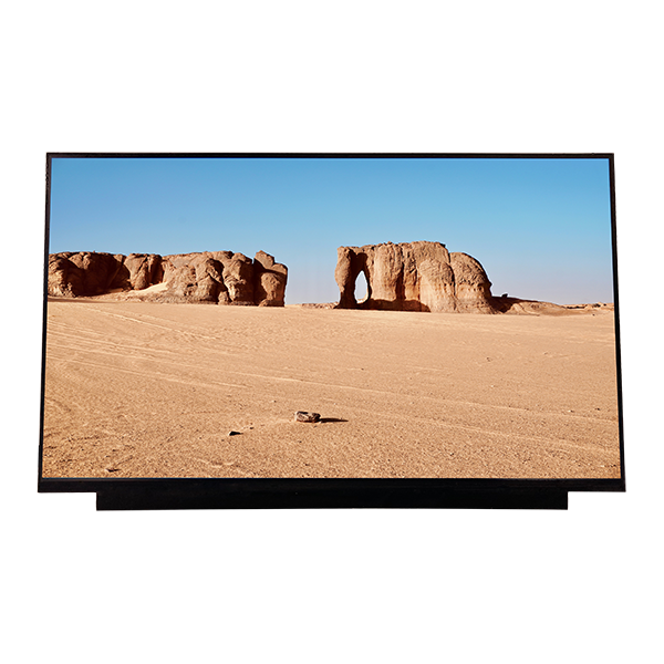 15.6''TFT LCD Display Module